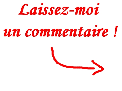 Laissez-moi un commentaire !