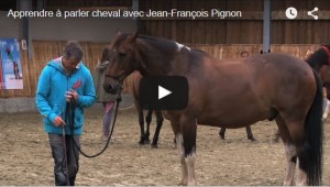 Apprendre à parler au cheval - Jean-Francois Pignon