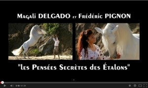 Les Pensées Secrètes des Etalons - Magali Delgado & Frédéric Pignon