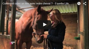 Comment créer un lien avec votre cheval - Quitterie Lanta