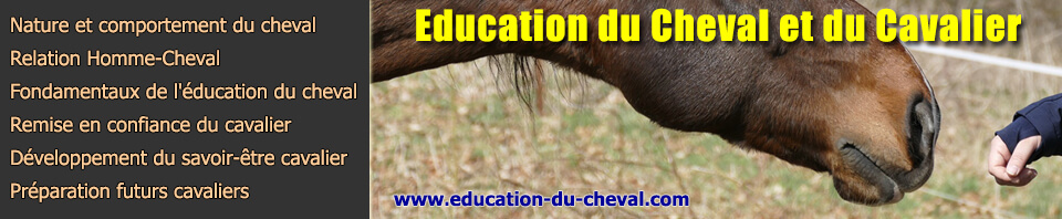 Education du cheval - Blog éducation du cheval