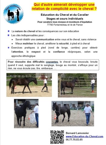 Stage éducation du cheval gratuit Stage éducation du cheval gratuit