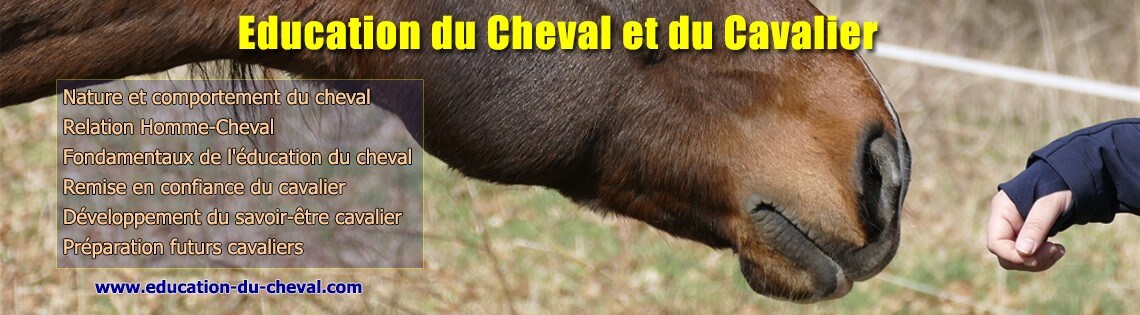 Education du cheval et du cavalier